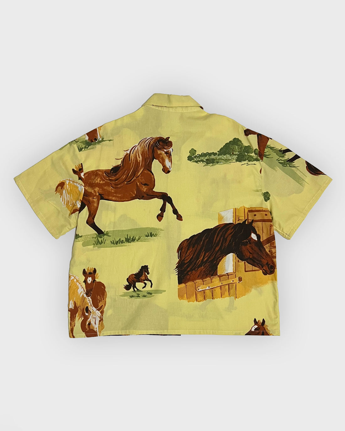 SHORT SLEEVE SHIRT (HORSES)